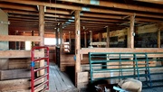 18th Jun 2023 - Old Barn