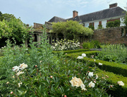 18th Jun 2023 - The White Garden, Culland Hall