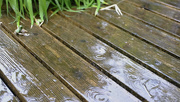 18th Jun 2023 - Much needed rain