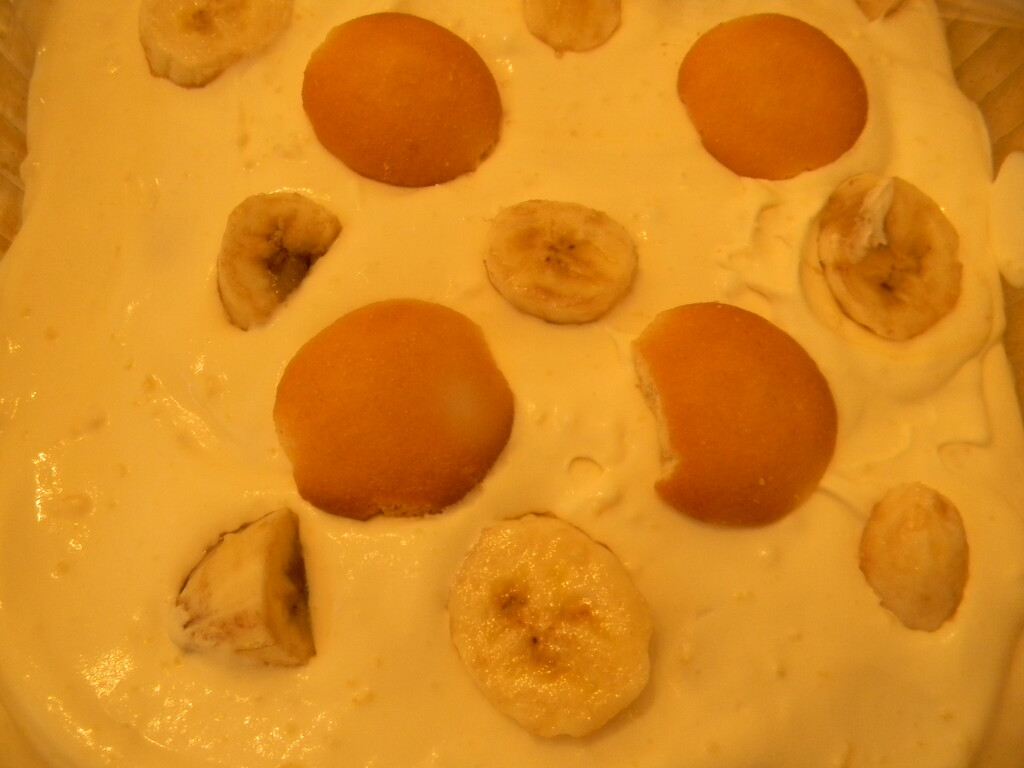 Banana Pudding  by sfeldphotos