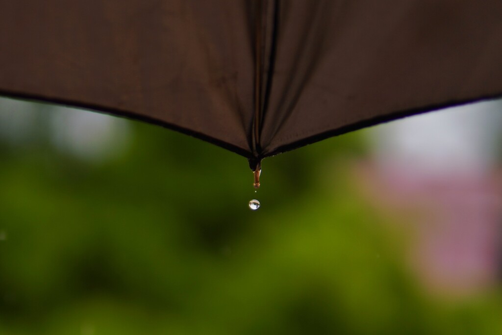 Rainy day by sudo