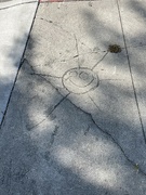 12th Jun 2023 - Sidewalk Graffiti 