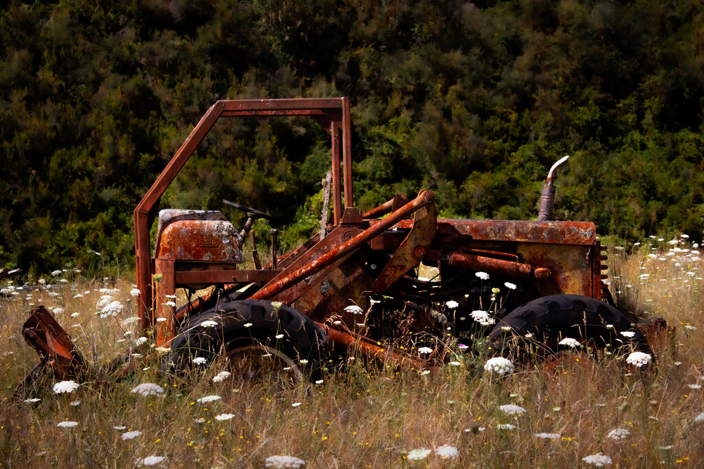 Old tractor amongst the weeds by 365projectclmutlow