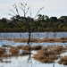 Karadoc Wetlands 2 by nannasgotitgoingon