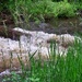 Creek by stownsend