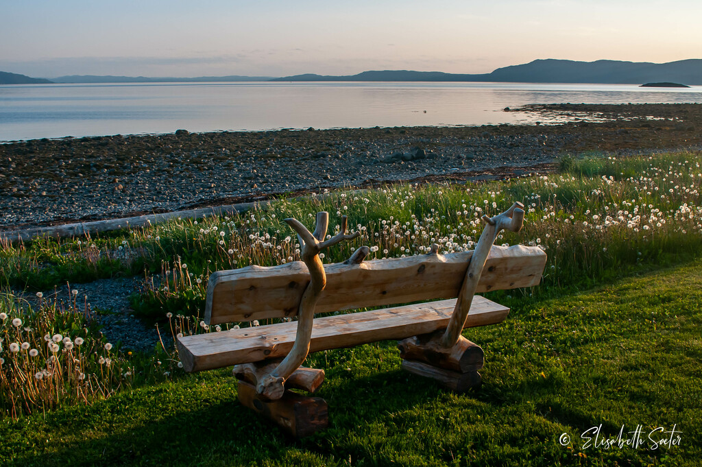 A bench by the sea by elisasaeter