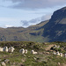 Skye scenery by helenhall