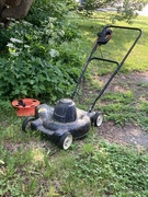 19th Jun 2023 - Mowed My Lawn 