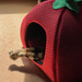 Hiding in his Strawberry Bed by marshwader