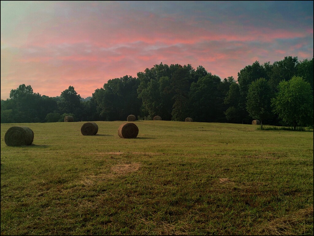 Hay Bales in the Setting Sun by olivetreeann