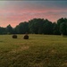 Hay Bales in the Setting Sun by olivetreeann