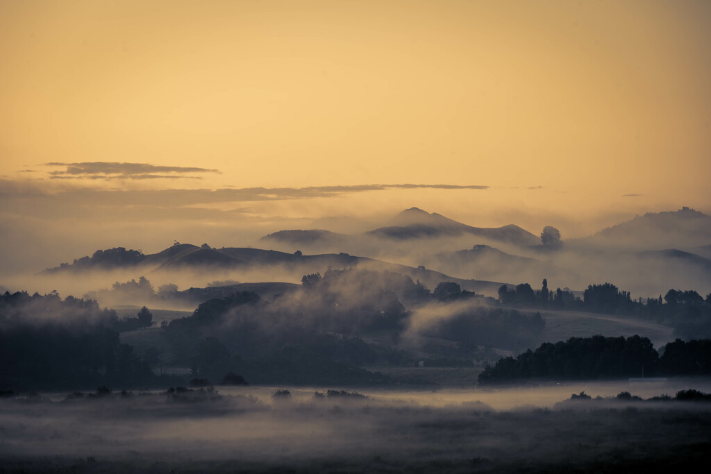 Misty Waikato Sunrise by yorkshirekiwi