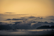 19th Jun 2023 - Misty Waikato Sunrise