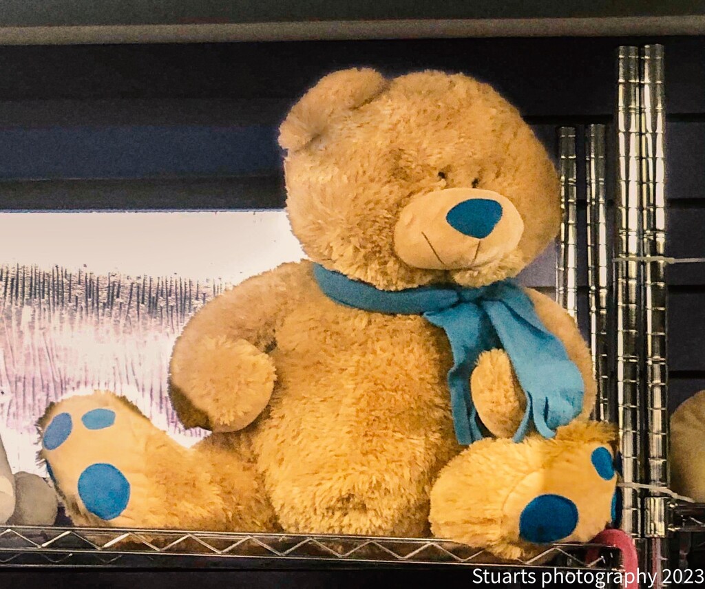 Teddy bear by stuart46