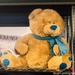 Teddy bear by stuart46