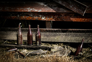 20th Jan 2023 - The old bottles_