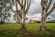 20th Jun 2023 - A home among the gum trees