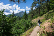 20th Jun 2023 - Icicle Ridge Trail