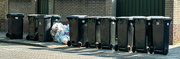 18th Jun 2023 - 06-20 - Trash collection day