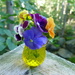 Pansy Pot by sunnygreenwood