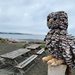 Driftwood Owl by kimmer50