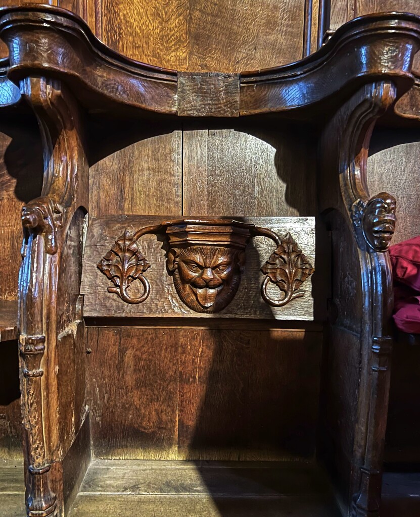 Mischievous Misericord by tinley23