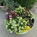 My flower tub by illinilass