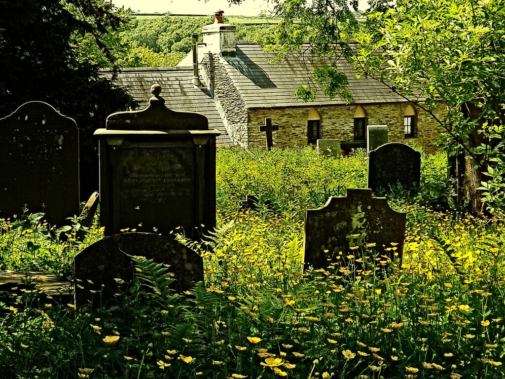 In The Graveyard Green by ajisaac