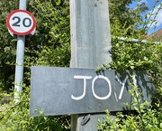 21st Jun 2023 - (Slow) paths to joy
