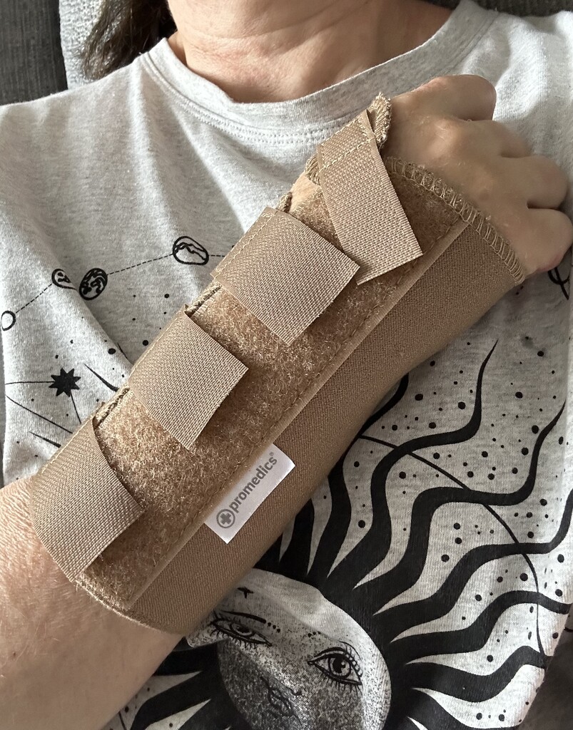 Yippee cast removed by bizziebeeme