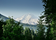 15th Jun 2023 - Mount Shasta