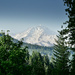 Mount Shasta by ososki