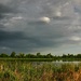Baker Wetlands 6-14-2023 by kareenking
