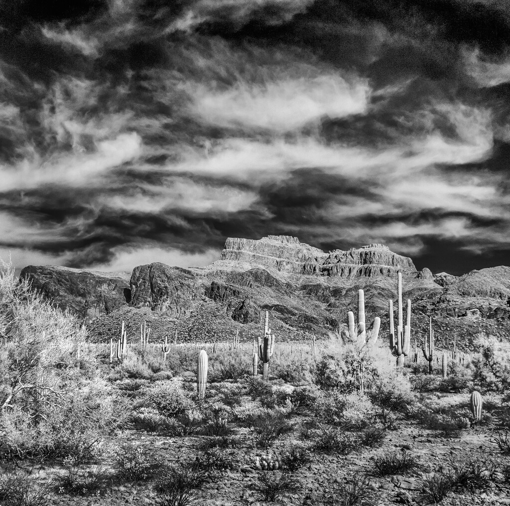 Lost Goldmine Trail ~ Infrared Capture by 365projectorgbilllaing