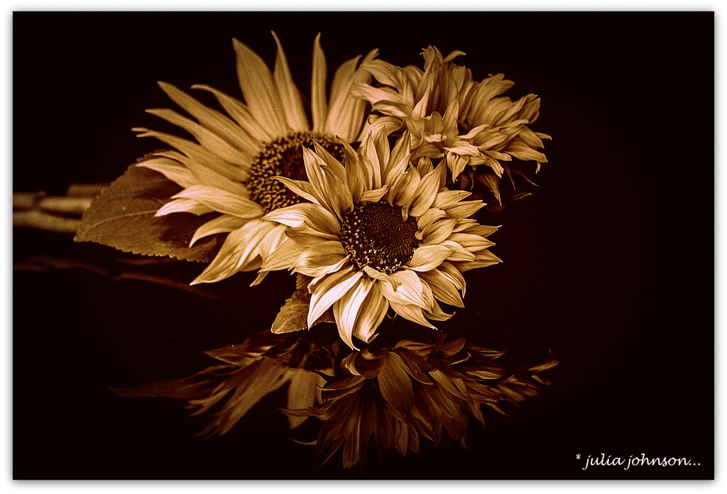 Antique Sunflowers... by julzmaioro