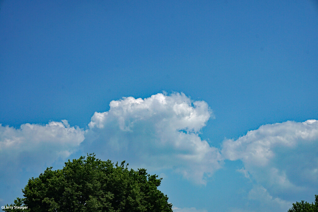 Summer sky 1 by larrysphotos