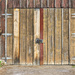 The Doors by gardencat