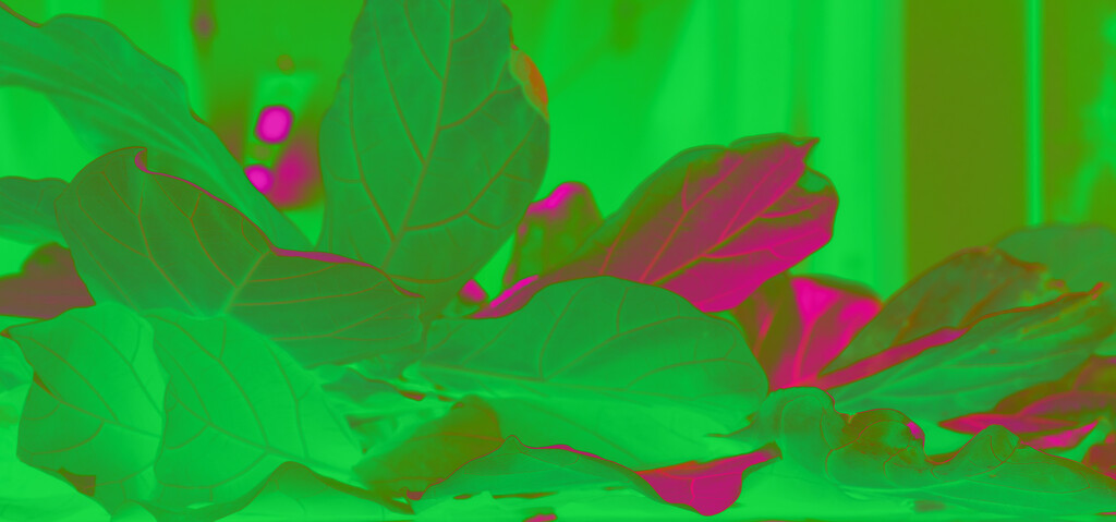 Leaves abstract #2 by dkbarnett