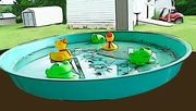 23rd Jun 2023 - Frog, frog, duck, frog ,duck