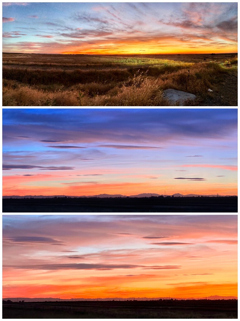 Sunsets by shutterbug49