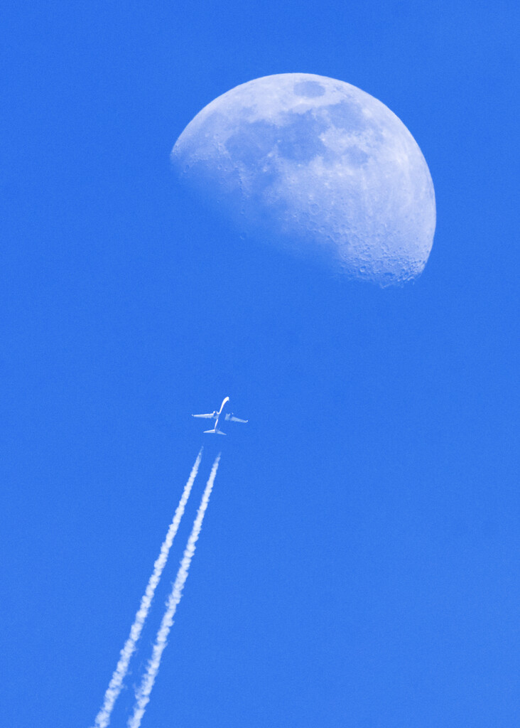 Fly Me To The Moon by davidrobinson