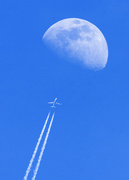 24th Jun 2023 - Fly Me To The Moon