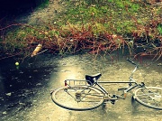 31st Jan 2011 - Lost bicycle