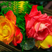 Oregon Roses by hjbenson