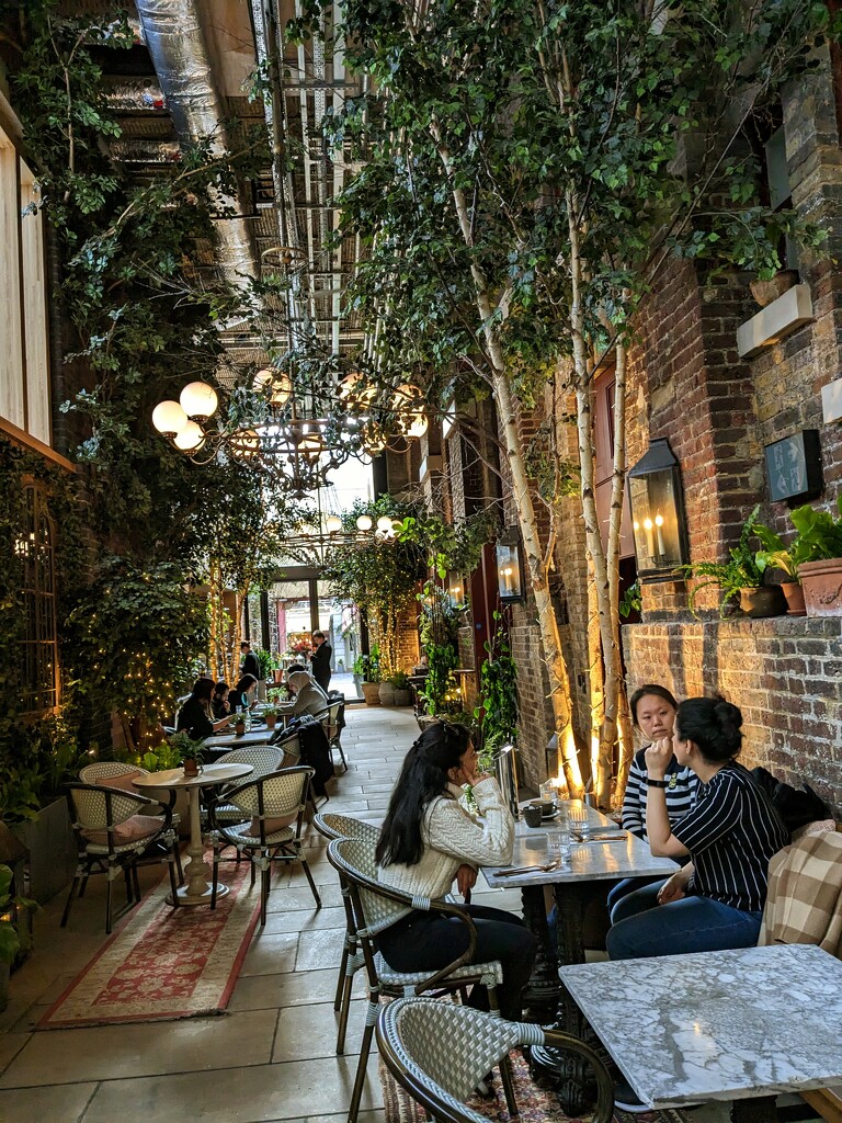 Magical garden cafe in an alleyway by cwarrior