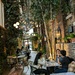 Magical garden cafe in an alleyway