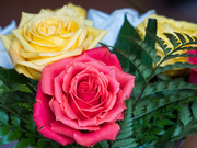 24th Jun 2023 - Rosey Bouquet