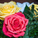 Rosey Bouquet by heftler