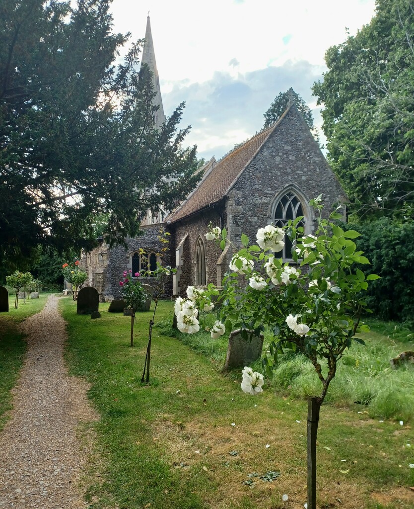 Grafham Church by busylady