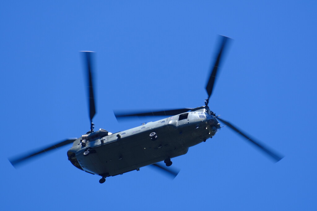RAF Chinook  by robboconnor
